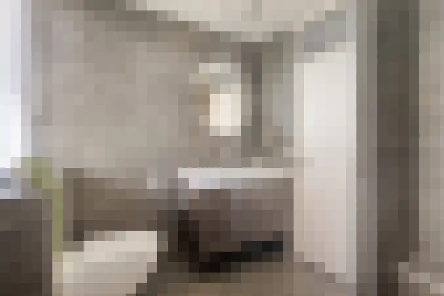 Dokter ter Borgstraat 1 Hellendoorn thumbnail 34