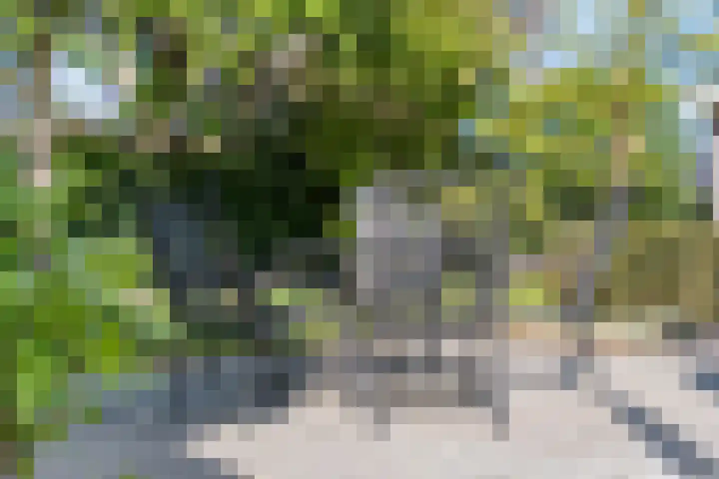 Dokter ter Borgstraat 1 Hellendoorn thumbnail 38