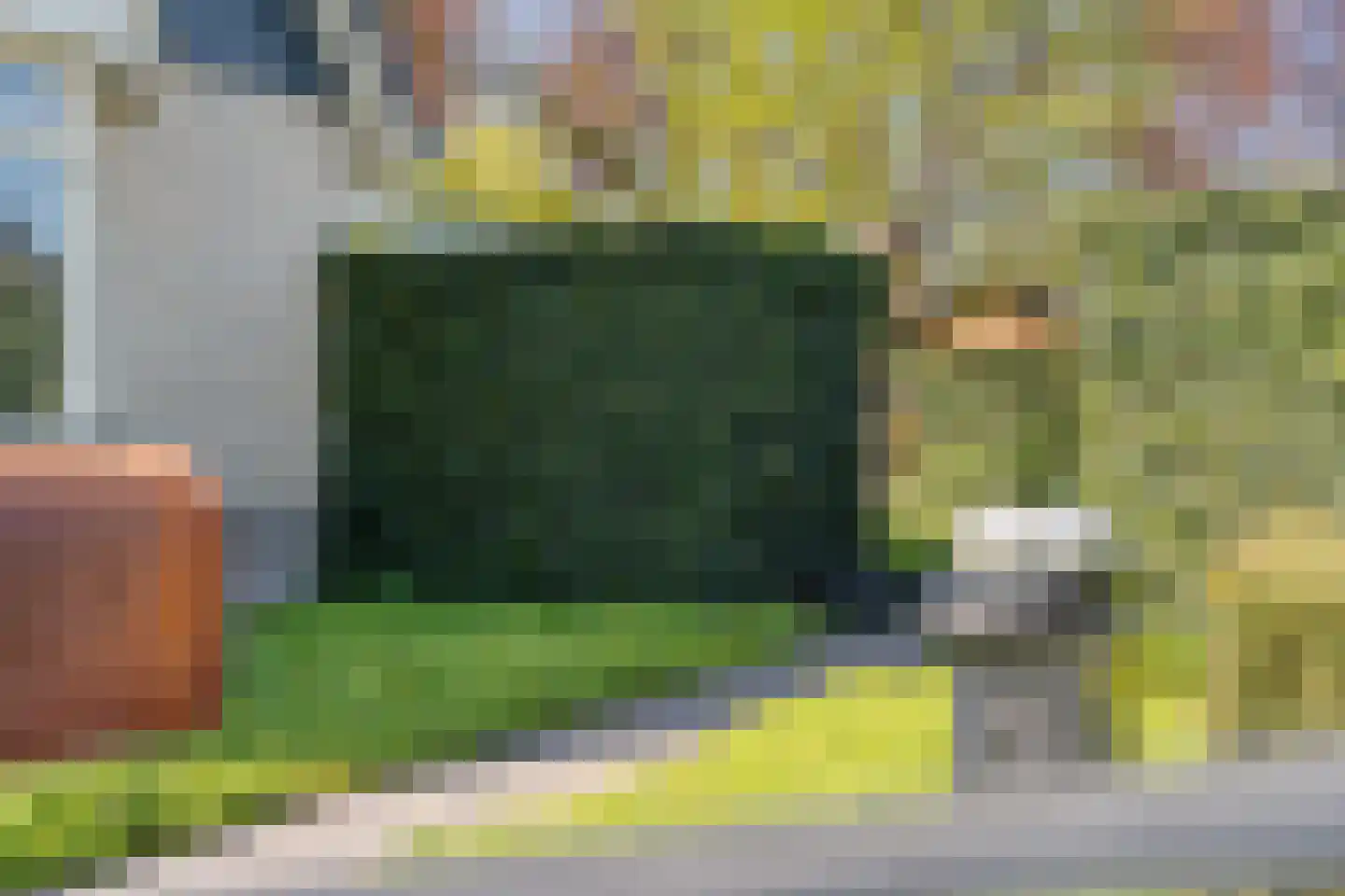 Dokter ter Borgstraat 1 Hellendoorn thumbnail 44