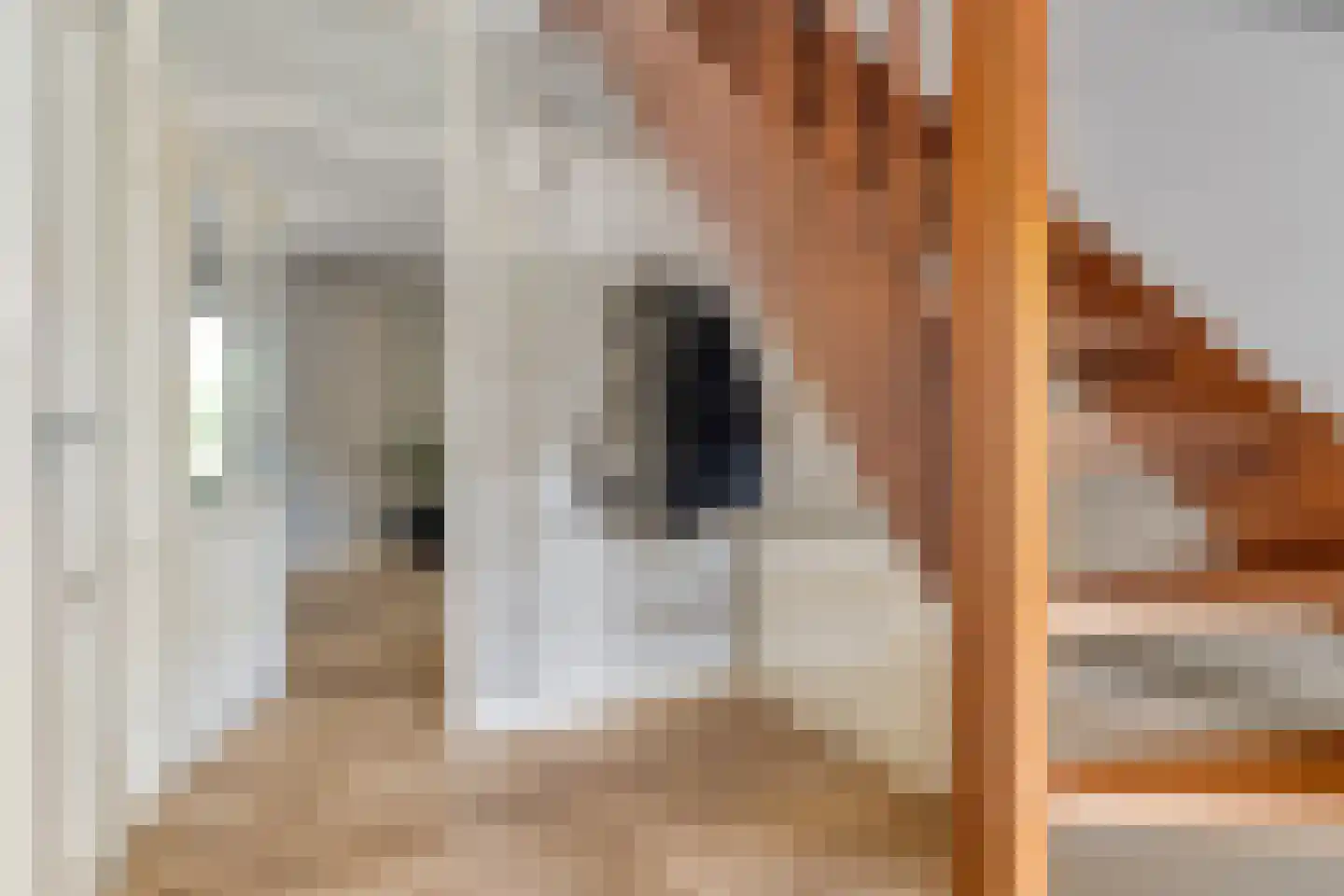 Dokter ter Borgstraat 1 Hellendoorn thumbnail 6