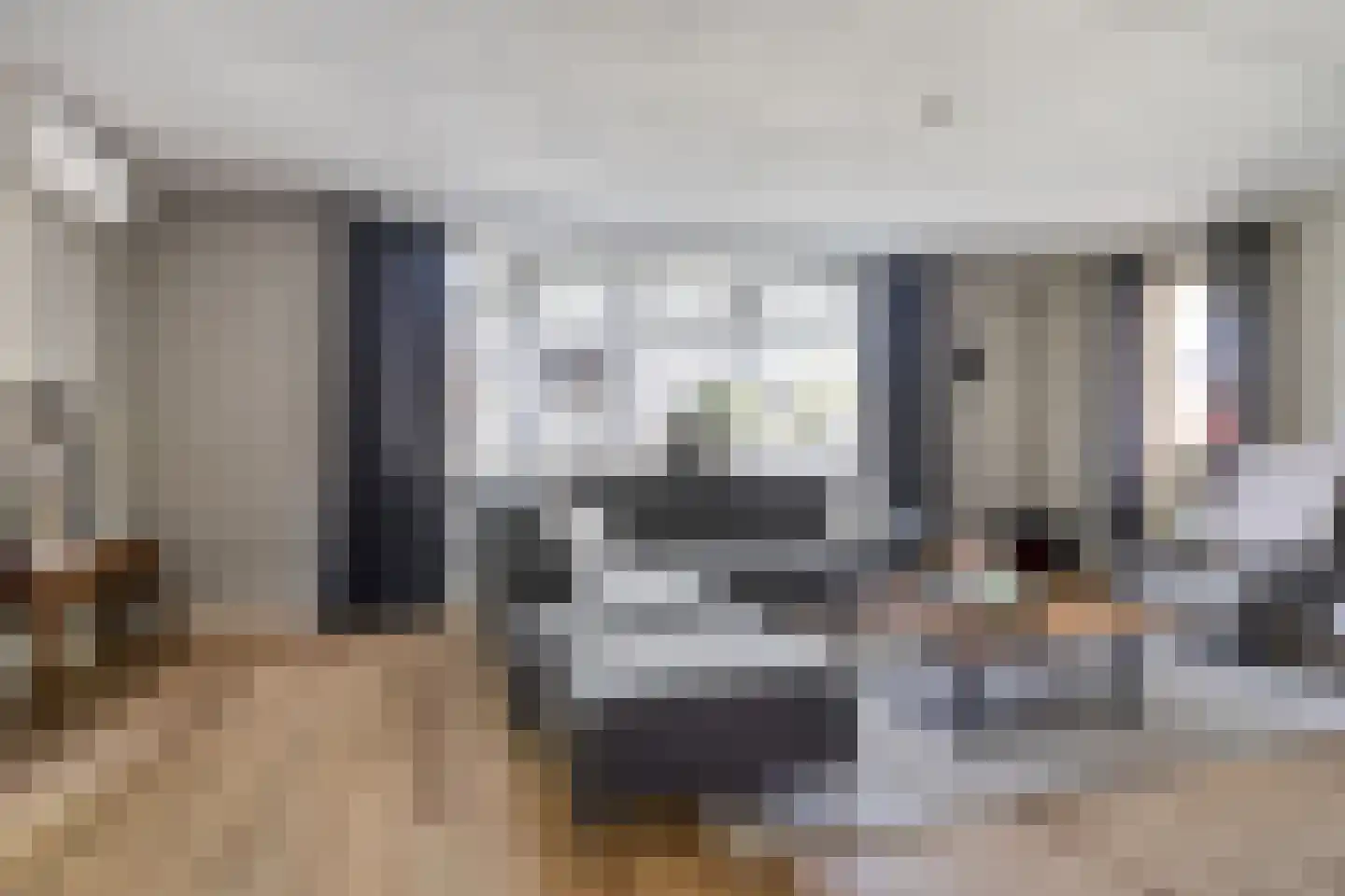 Dokter ter Borgstraat 1 Hellendoorn thumbnail 8