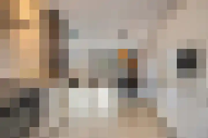 Dokter Themmensingel 33 Schalkhaar thumbnail 10