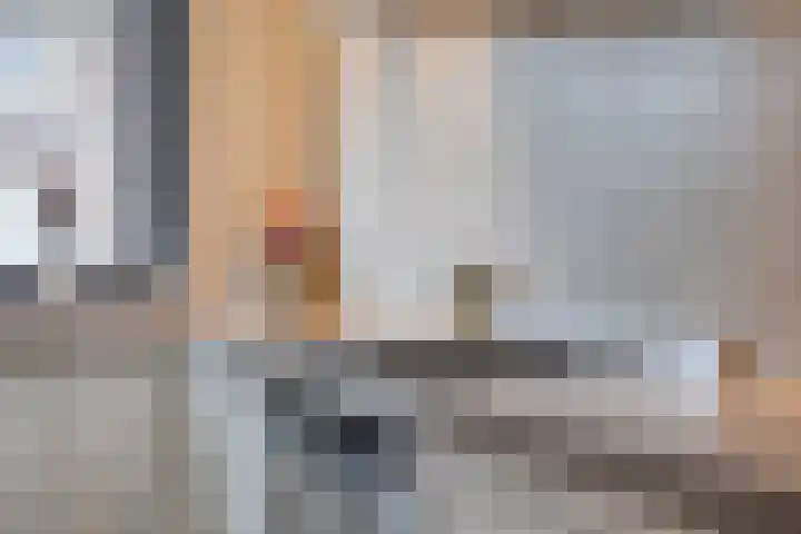 Dokter Themmensingel 33 Schalkhaar thumbnail 11