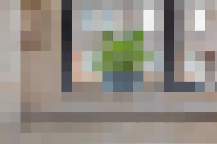 Dokter Themmensingel 33 Schalkhaar thumbnail 12