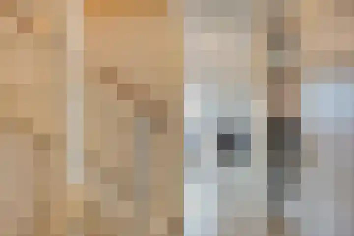 Dokter Themmensingel 33 Schalkhaar thumbnail 14