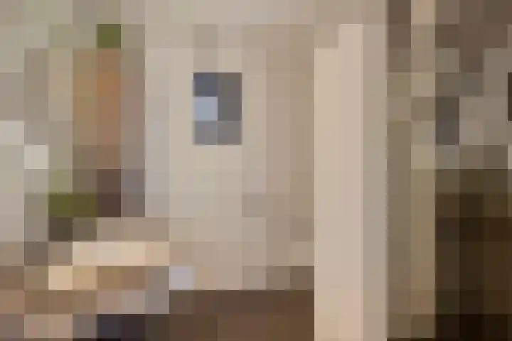 Dokter Themmensingel 33 Schalkhaar thumbnail 19