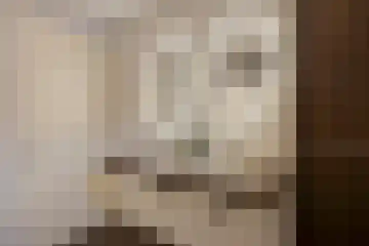 Dokter Themmensingel 33 Schalkhaar thumbnail 20