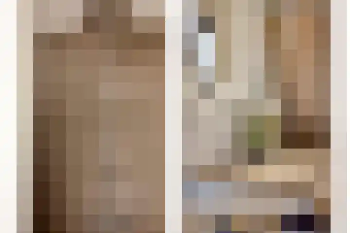 Dokter Themmensingel 33 Schalkhaar thumbnail 21