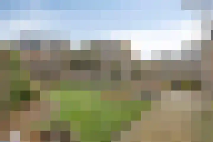 Dokter Themmensingel 33 Schalkhaar thumbnail 23