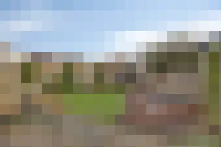 Dokter Themmensingel 33 Schalkhaar thumbnail 24