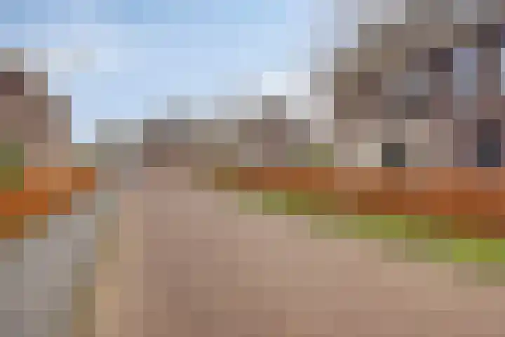 Dokter Themmensingel 33 Schalkhaar thumbnail 29