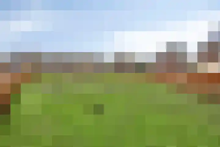 Dokter Themmensingel 33 Schalkhaar thumbnail 30