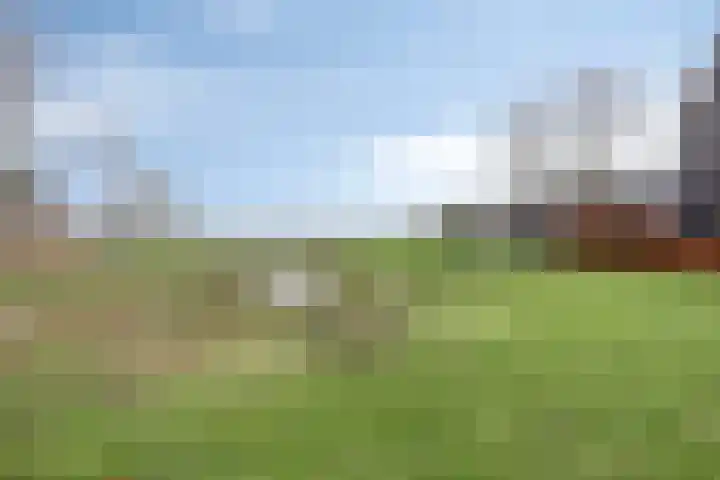 Dokter Themmensingel 33 Schalkhaar thumbnail 31