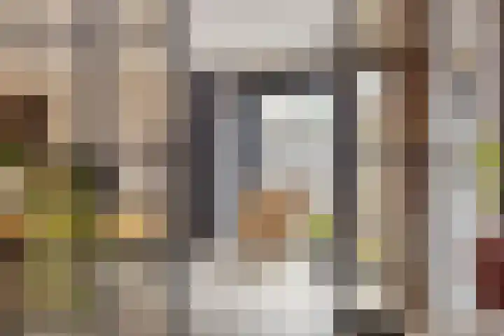 Dokter Themmensingel 33 Schalkhaar thumbnail 4