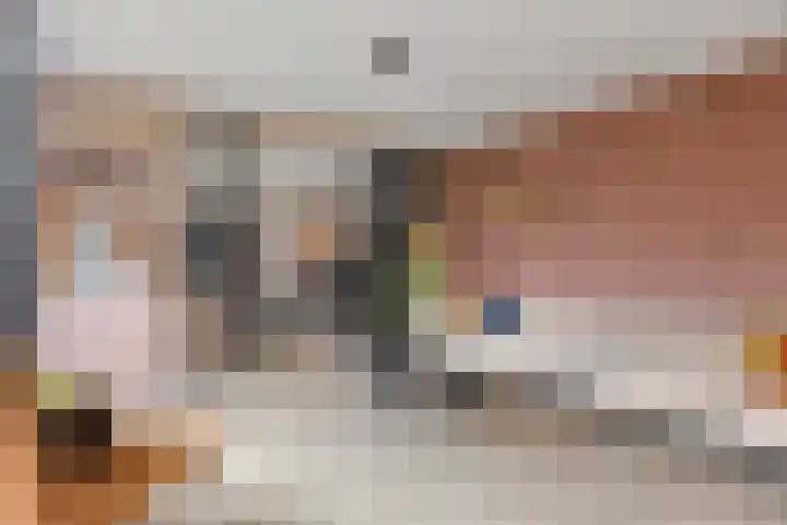 Dokter Themmensingel 33 Schalkhaar thumbnail 5