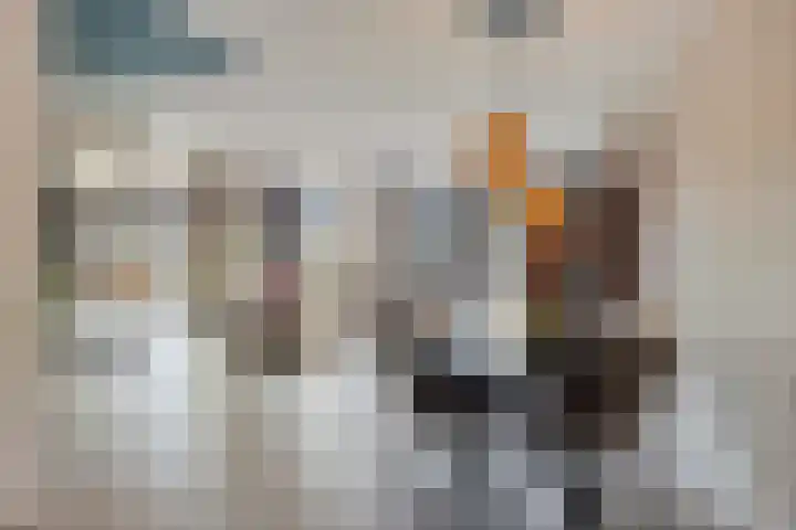 Dokter Themmensingel 33 Schalkhaar thumbnail 8