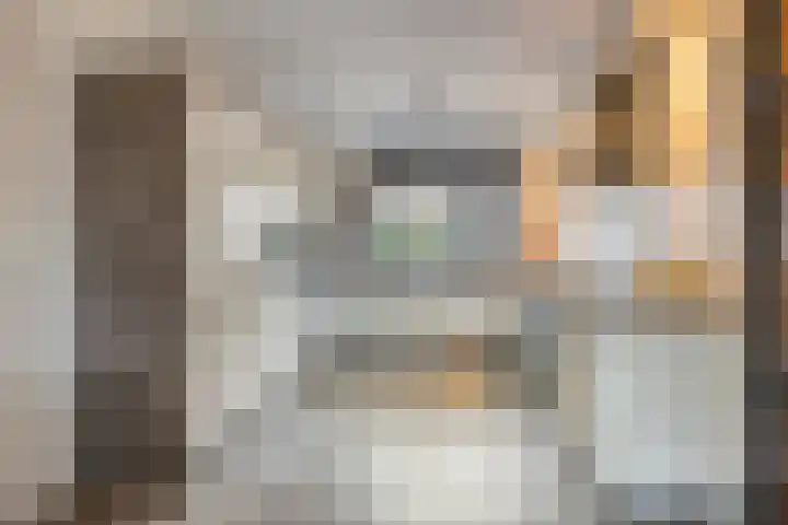 Dokter Themmensingel 33 Schalkhaar thumbnail 9