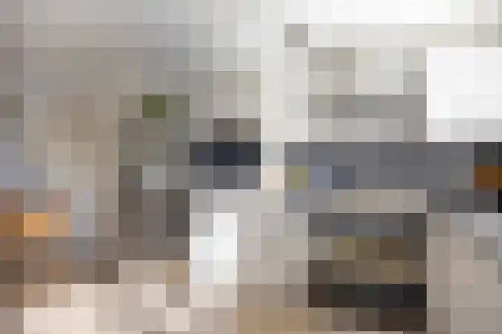 Dokter Themmensingel 5 Schalkhaar thumbnail 11