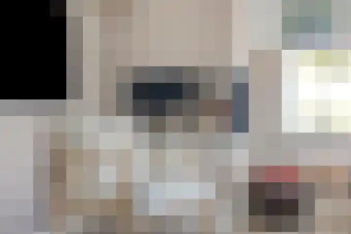 Dokter Themmensingel 5 Schalkhaar thumbnail 12