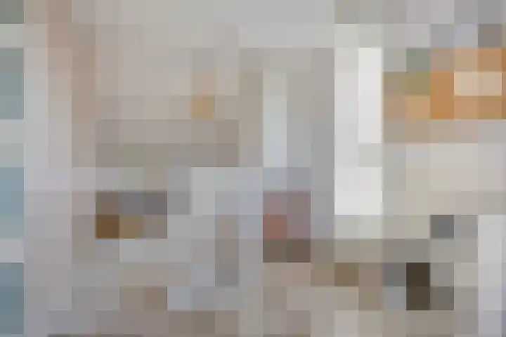 Dokter Themmensingel 5 Schalkhaar thumbnail 22
