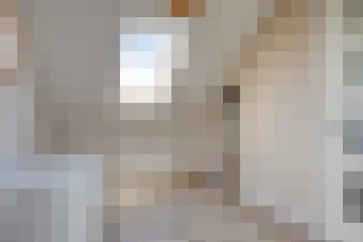 Dokter Themmensingel 5 Schalkhaar thumbnail 23