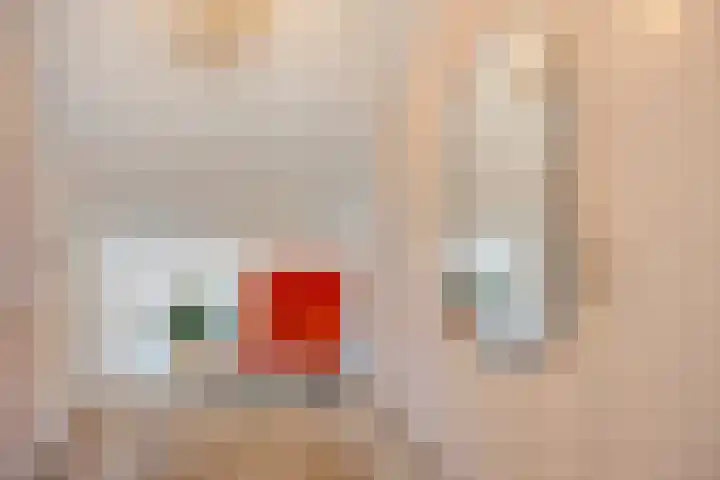 Dokter Themmensingel 5 Schalkhaar thumbnail 26