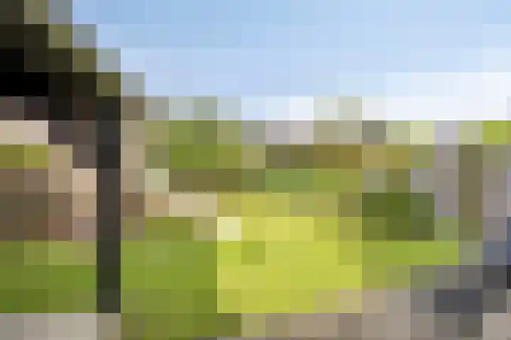 Dokter Themmensingel 5 Schalkhaar thumbnail 27