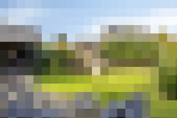 Dokter Themmensingel 5 Schalkhaar thumbnail 28