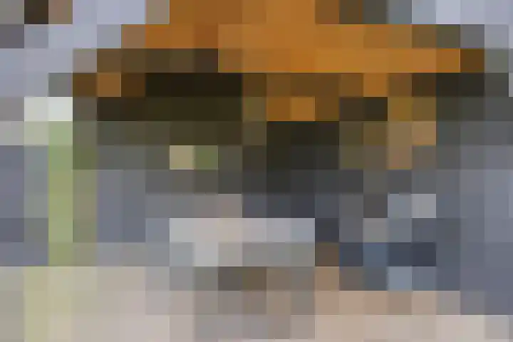 Dokter Themmensingel 5 Schalkhaar thumbnail 30