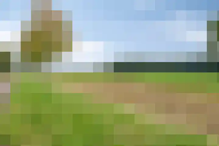 Dokter Themmensingel 5 Schalkhaar thumbnail 32