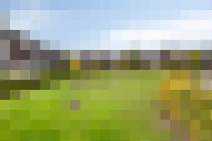 Dokter Themmensingel 5 Schalkhaar thumbnail 33