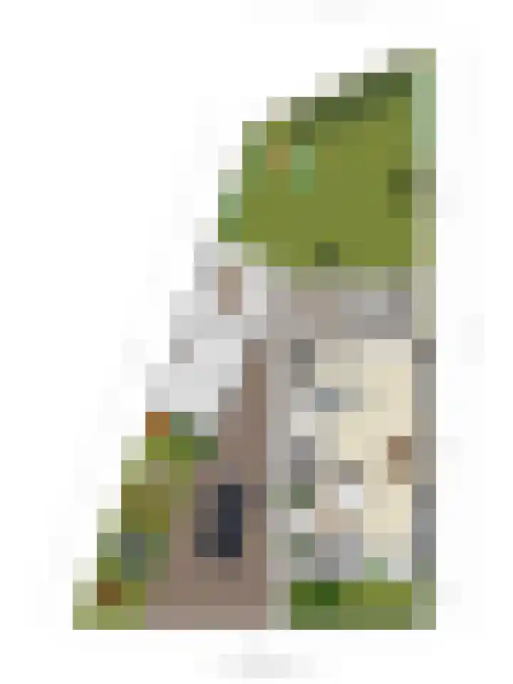 Dokter Themmensingel 5 Schalkhaar thumbnail 36