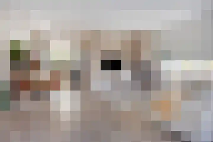 Dokter Themmensingel 5 Schalkhaar thumbnail 4