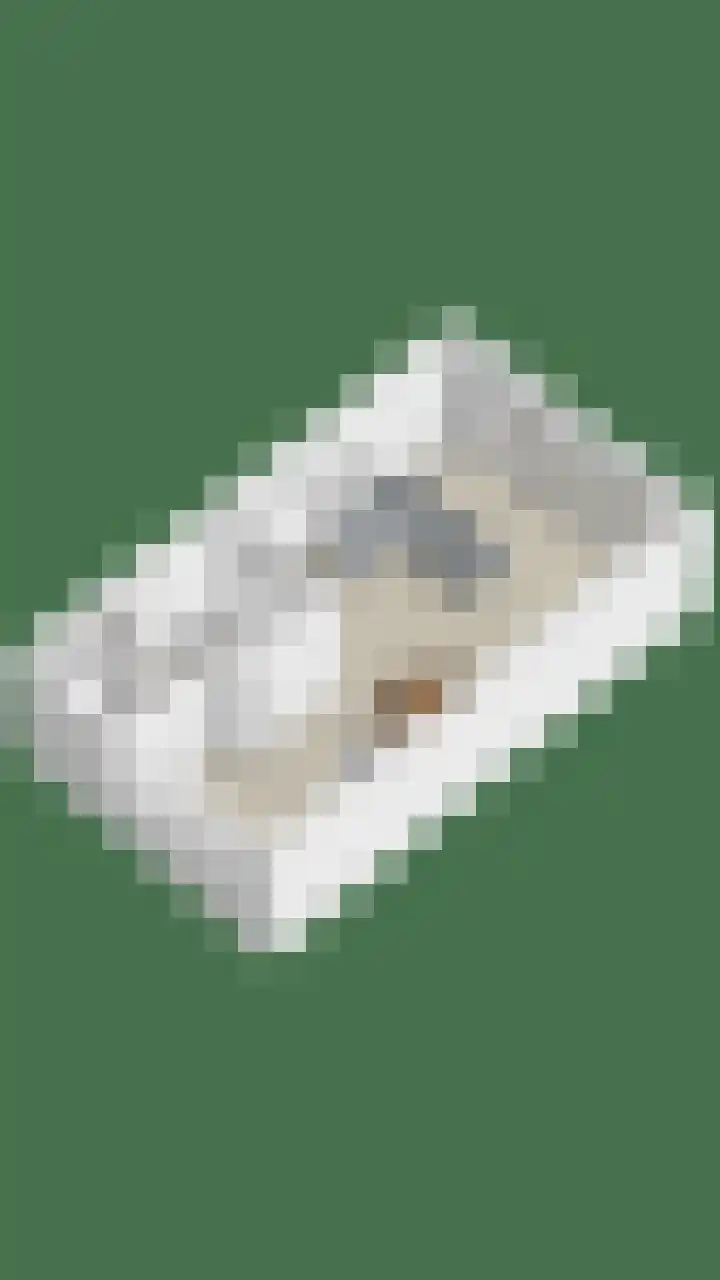Dokter Themmensingel 5 Schalkhaar thumbnail 42