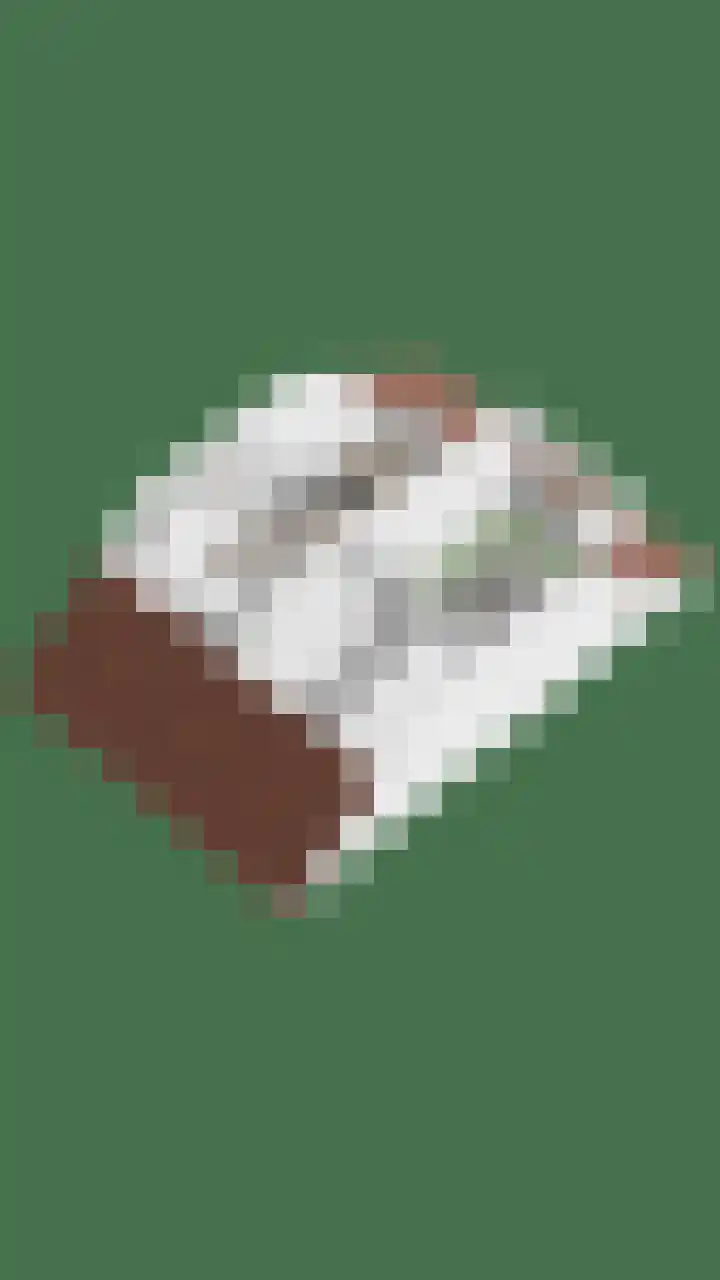 Dokter Themmensingel 5 Schalkhaar thumbnail 44