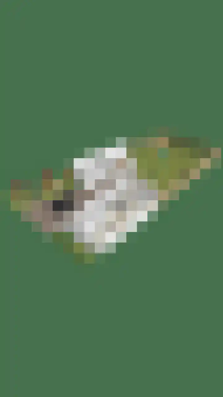 Dokter Themmensingel 5 Schalkhaar thumbnail 48