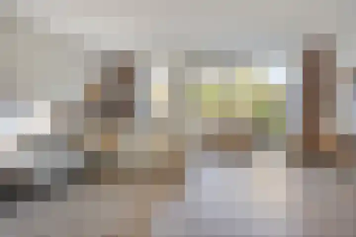 Dokter Themmensingel 5 Schalkhaar thumbnail 7