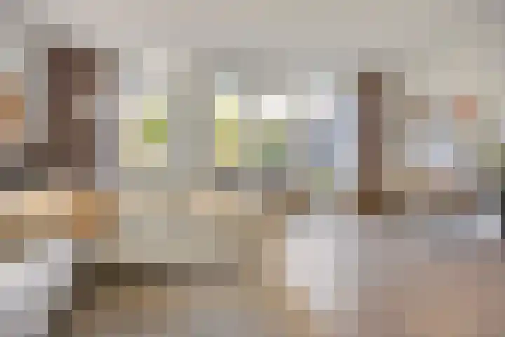 Dokter Themmensingel 5 Schalkhaar thumbnail 8