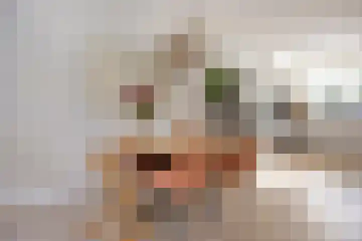 Dokter Themmensingel 5 Schalkhaar thumbnail 9