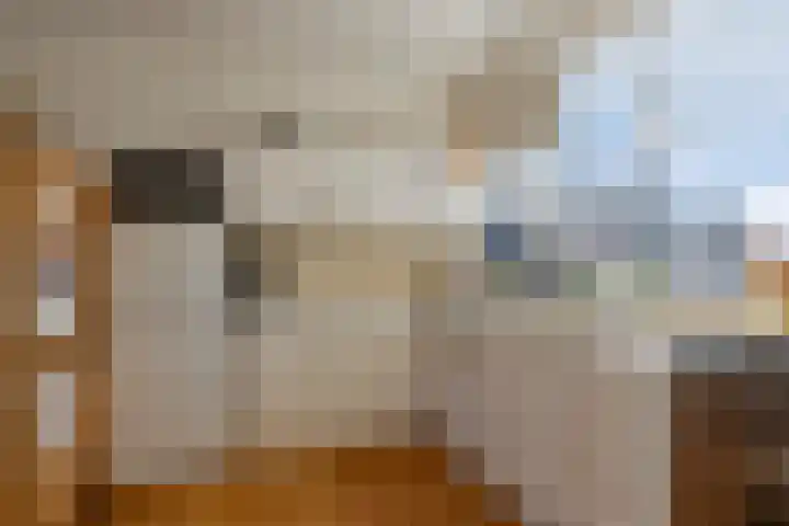 Dokter Timmerslaan 1 e Beek en Donk thumbnail 13