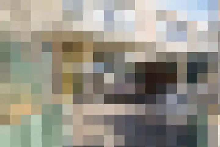 Dokter Timmerslaan 1 e Beek en Donk foto 3
