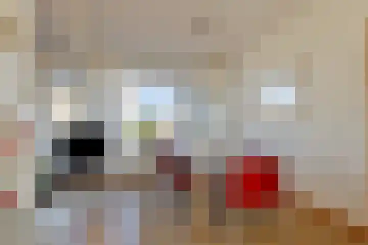 Dokter Timmerslaan 1 e Beek en Donk thumbnail 9