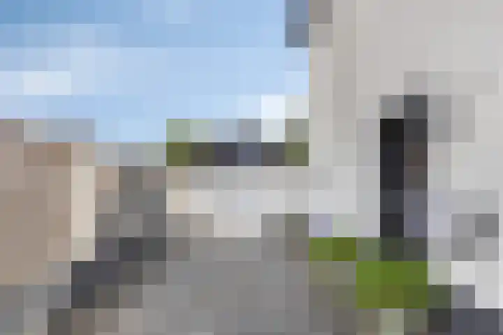 Dokter Timmerslaan 5 Beek en Donk thumbnail 10