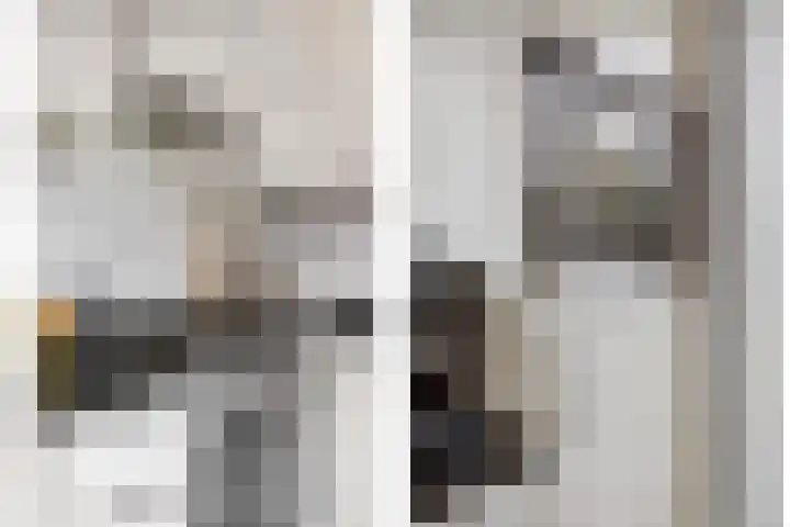 Dokter Timmerslaan 5 Beek en Donk thumbnail 16