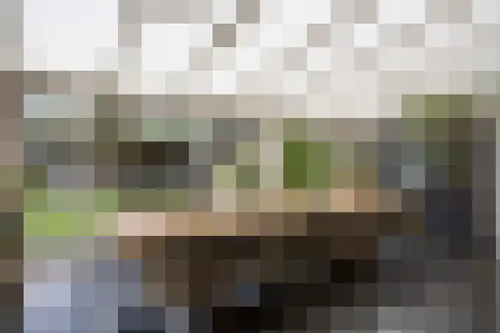 Dokter Timmerslaan 5 Beek en Donk thumbnail 21