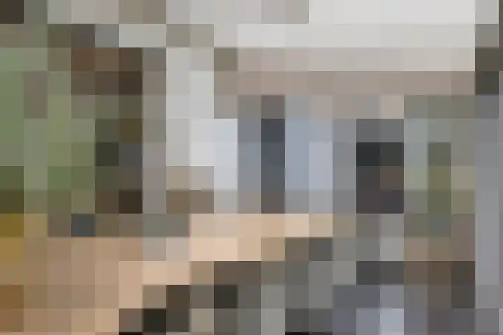 Dokter Timmerslaan 5 Beek en Donk thumbnail 23