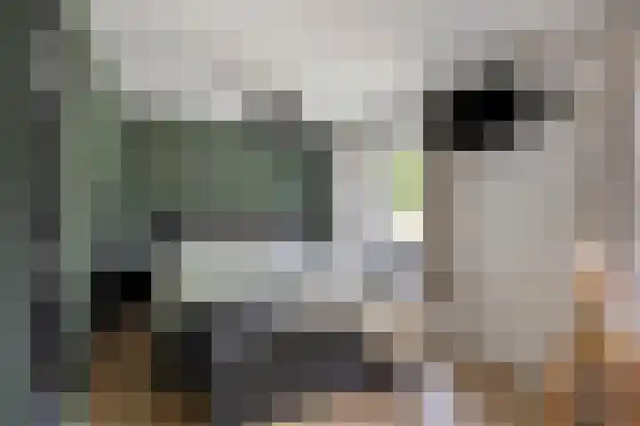 Dokter Timmerslaan 5 Beek en Donk thumbnail 27