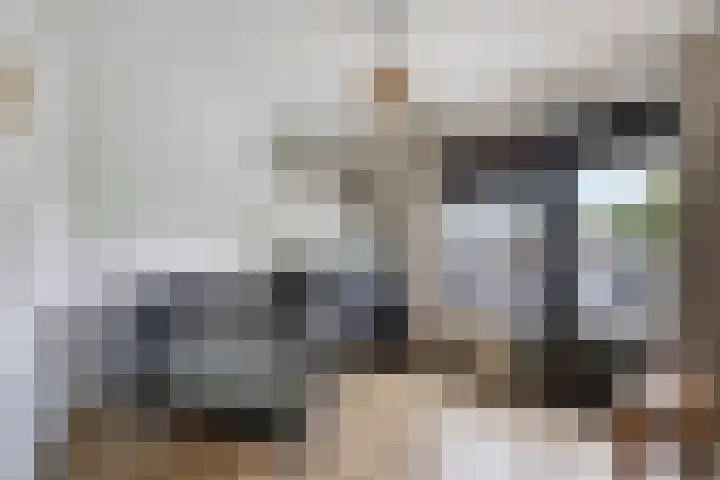 Dokter Timmerslaan 5 Beek en Donk thumbnail 29