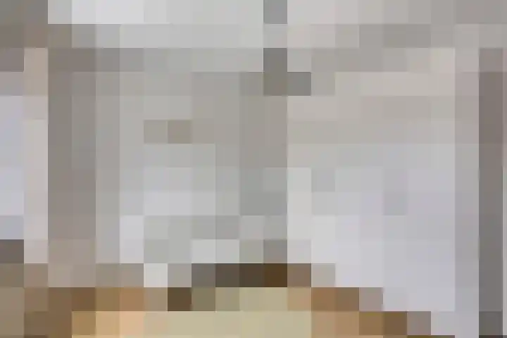 Dokter Timmerslaan 5 Beek en Donk thumbnail 31