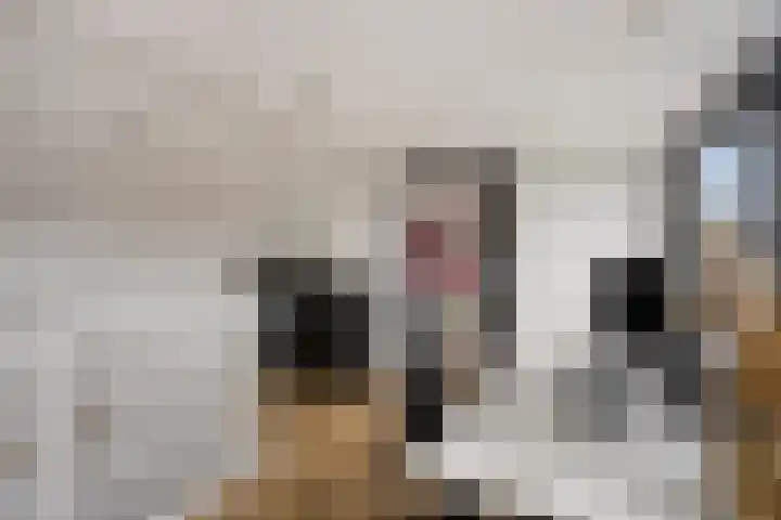 Dokter Timmerslaan 5 Beek en Donk thumbnail 36